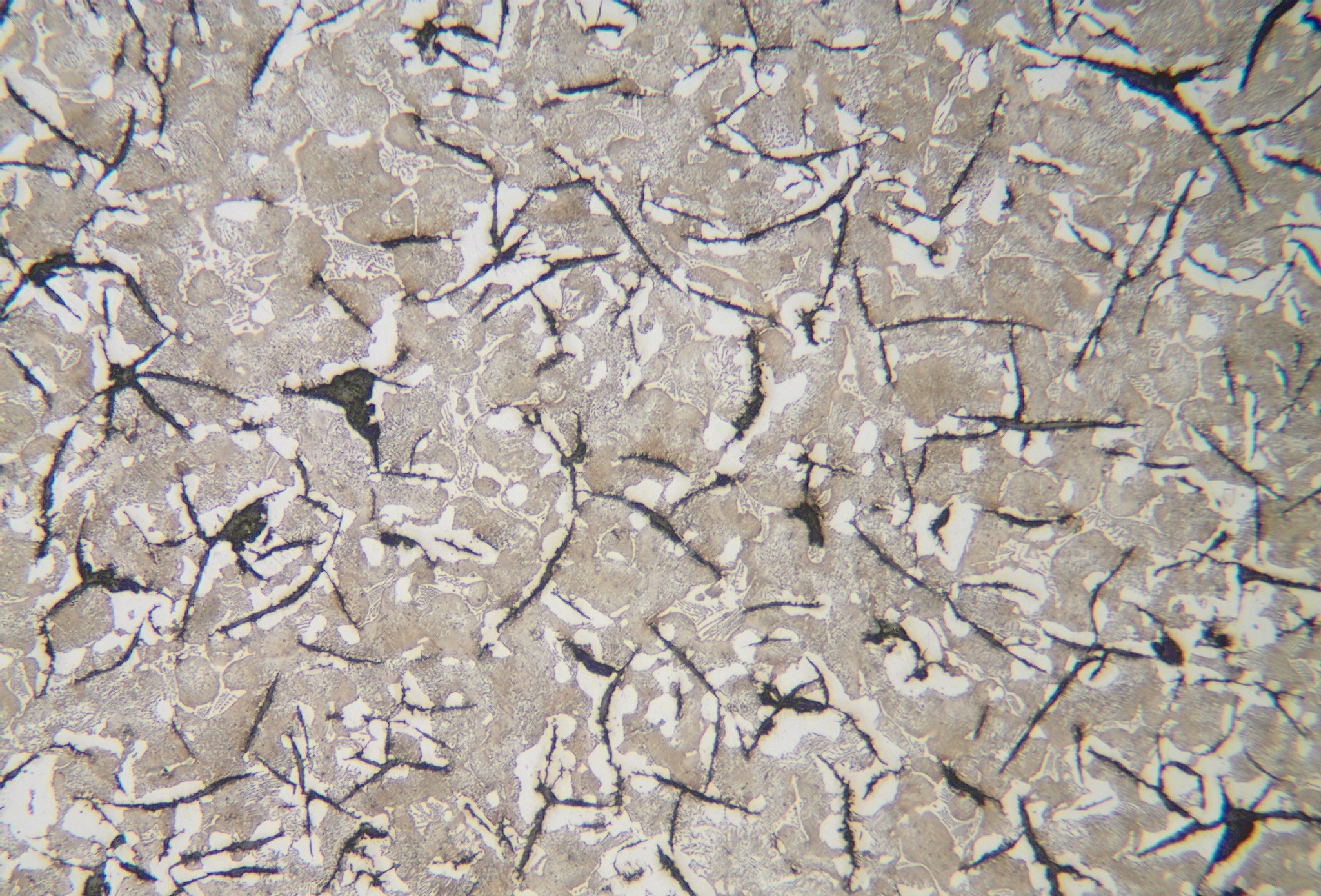 Metallurgical failure examination showing crack propagation in metal component