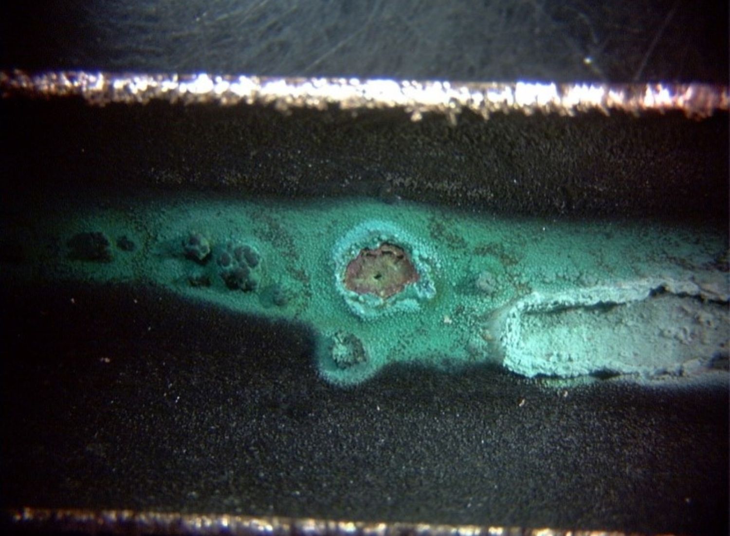 SEM and EDX analysis for microstructural and elemental investigation