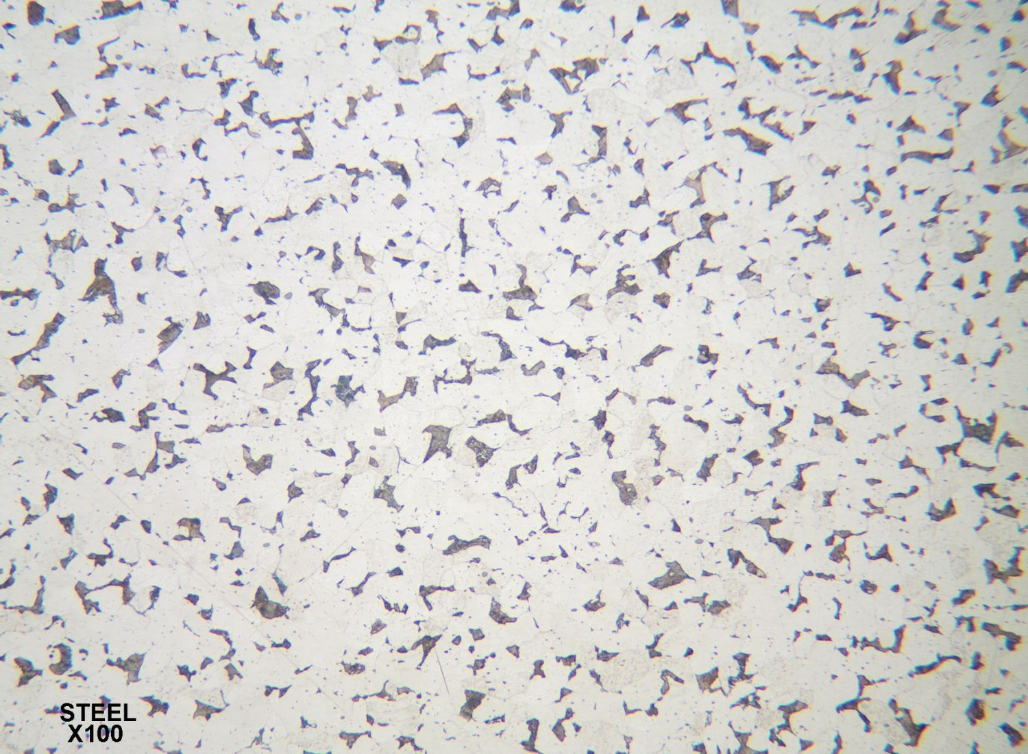 Metallurgical investigation of fractured metal sample using microscopy